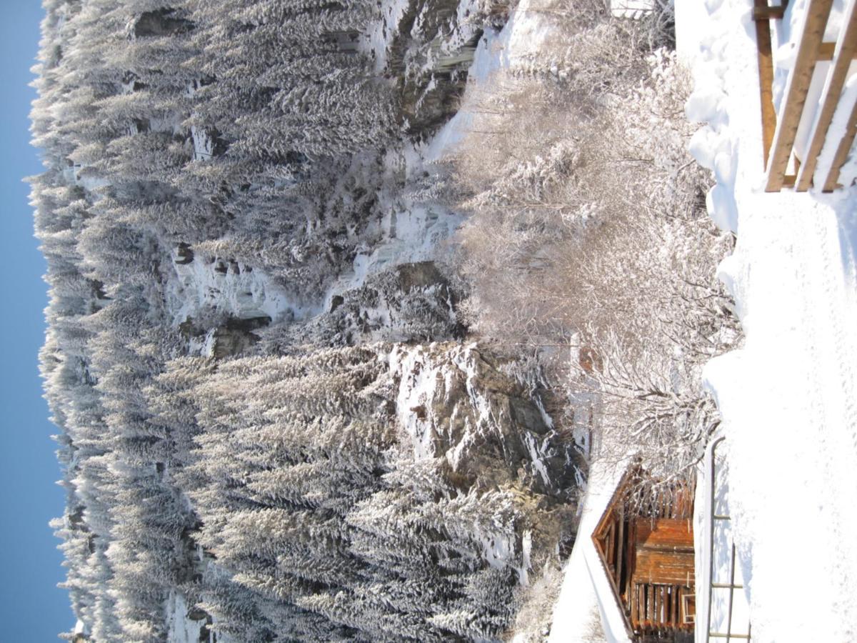 Alpina Appartement Sankt Leonhard im Pitztal Buitenkant foto