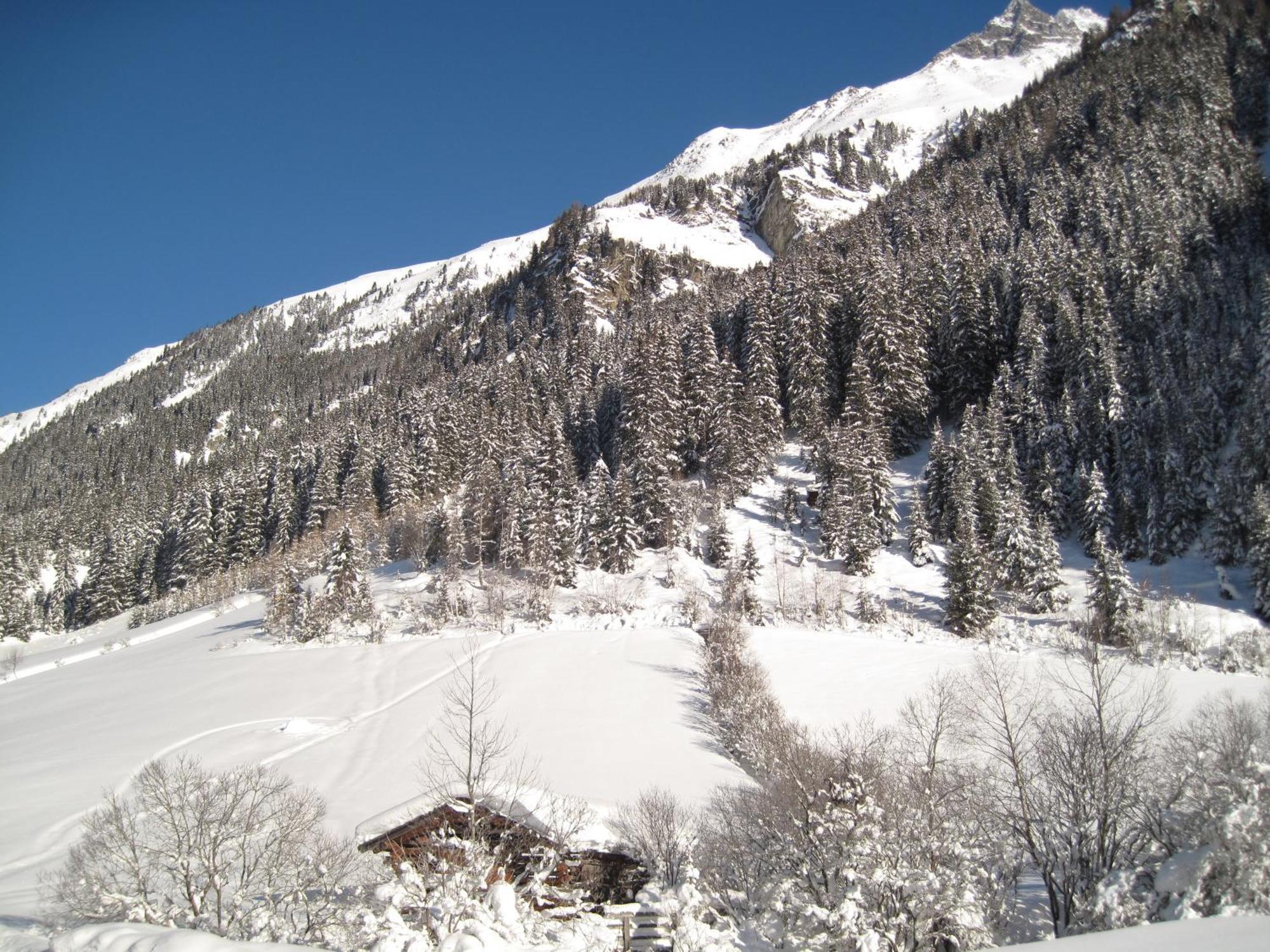 Alpina Appartement Sankt Leonhard im Pitztal Buitenkant foto