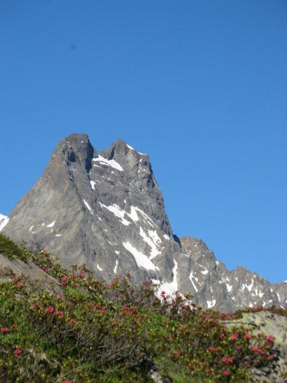 Alpina Appartement Sankt Leonhard im Pitztal Buitenkant foto